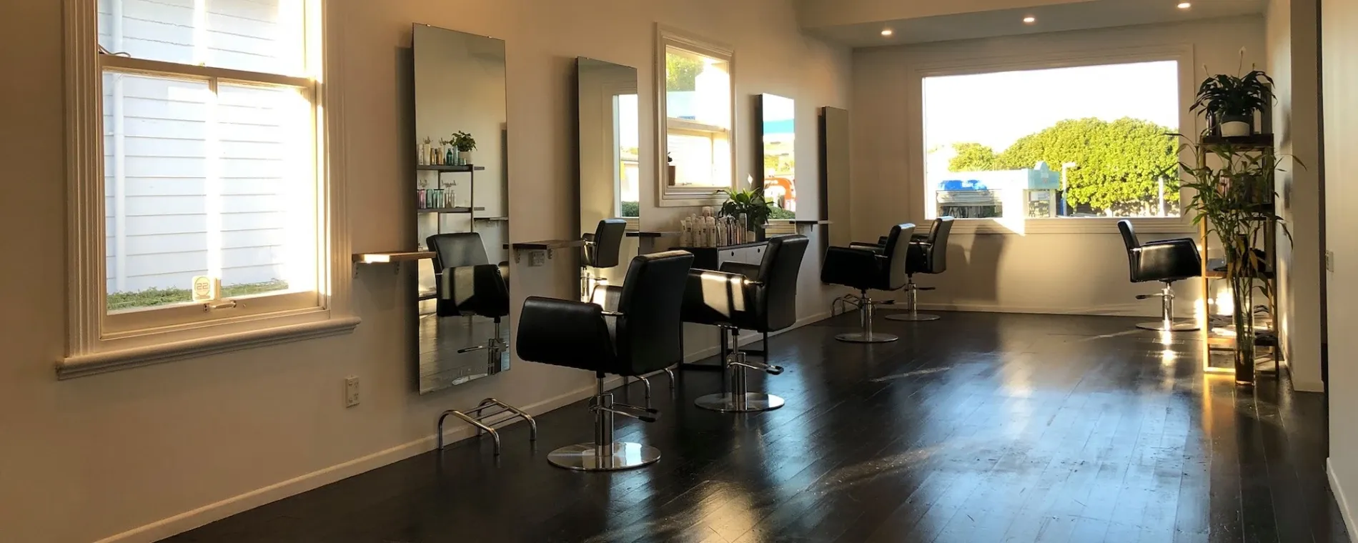 The Black Studio — Hair Salons in Mount Eden