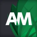 AllanMcNeill Chartered Accountants