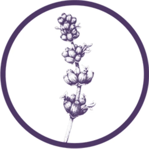 Wānaka Lavender Farm