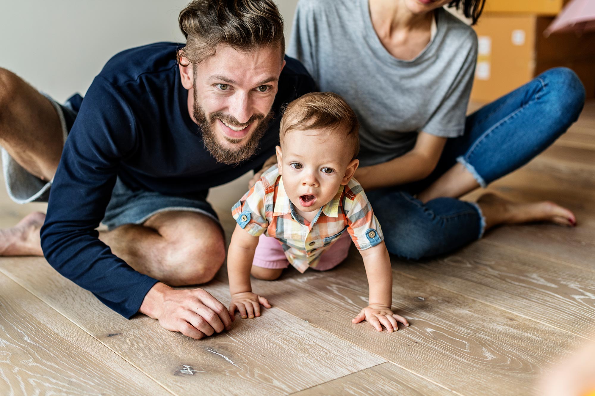Auckland Insulation Services — Insulation Services in Hibiscus and Bays