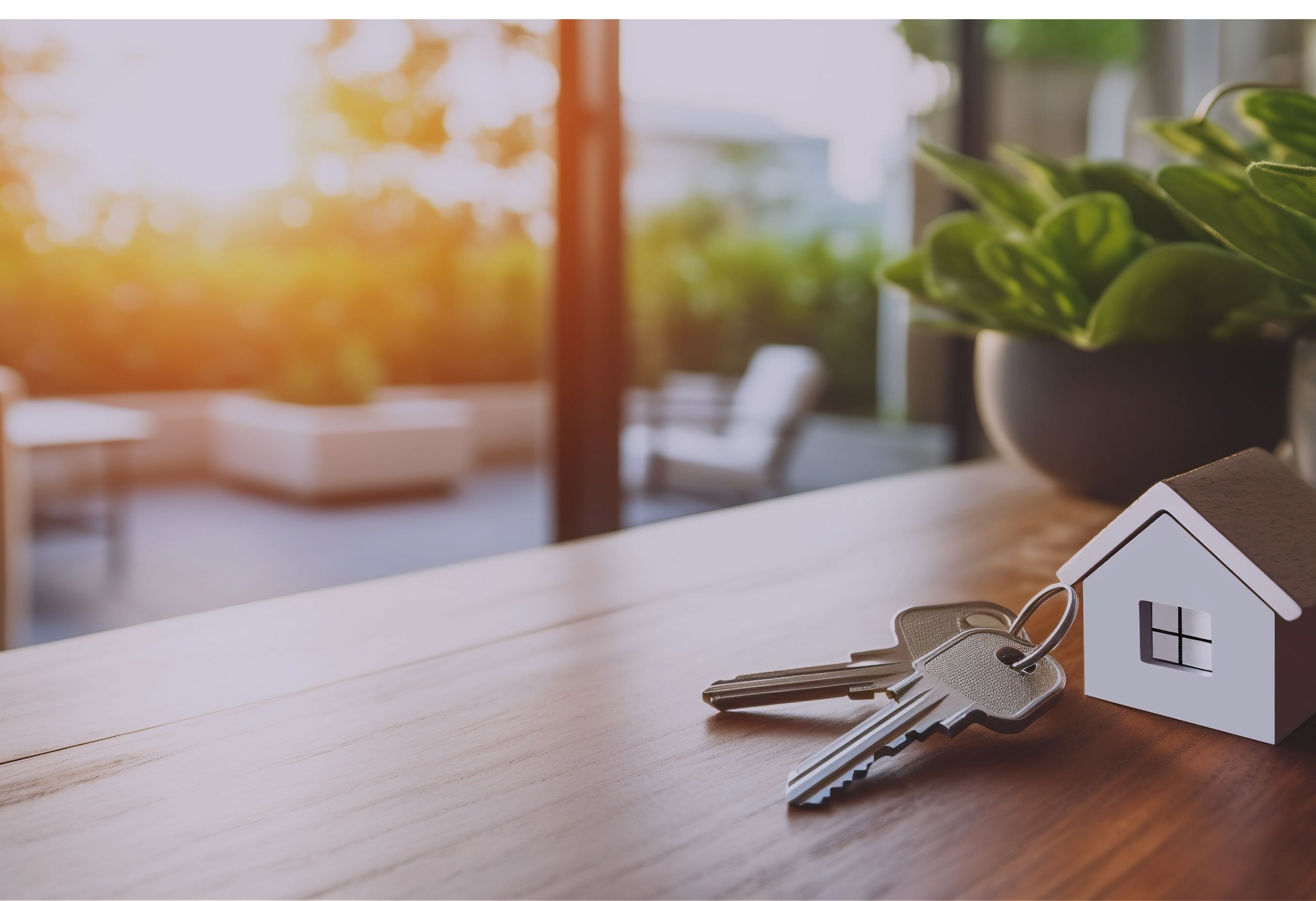 Proppy Property Management — Property Managers in Wānaka