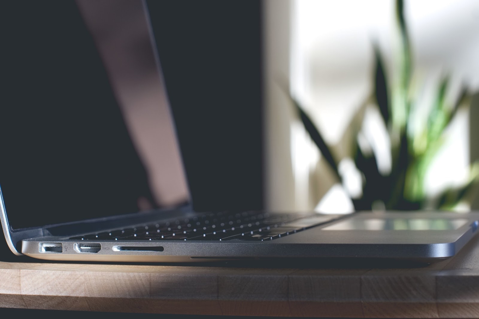 Click Fusion Limited — Digital Marketing Agencies in Auckland