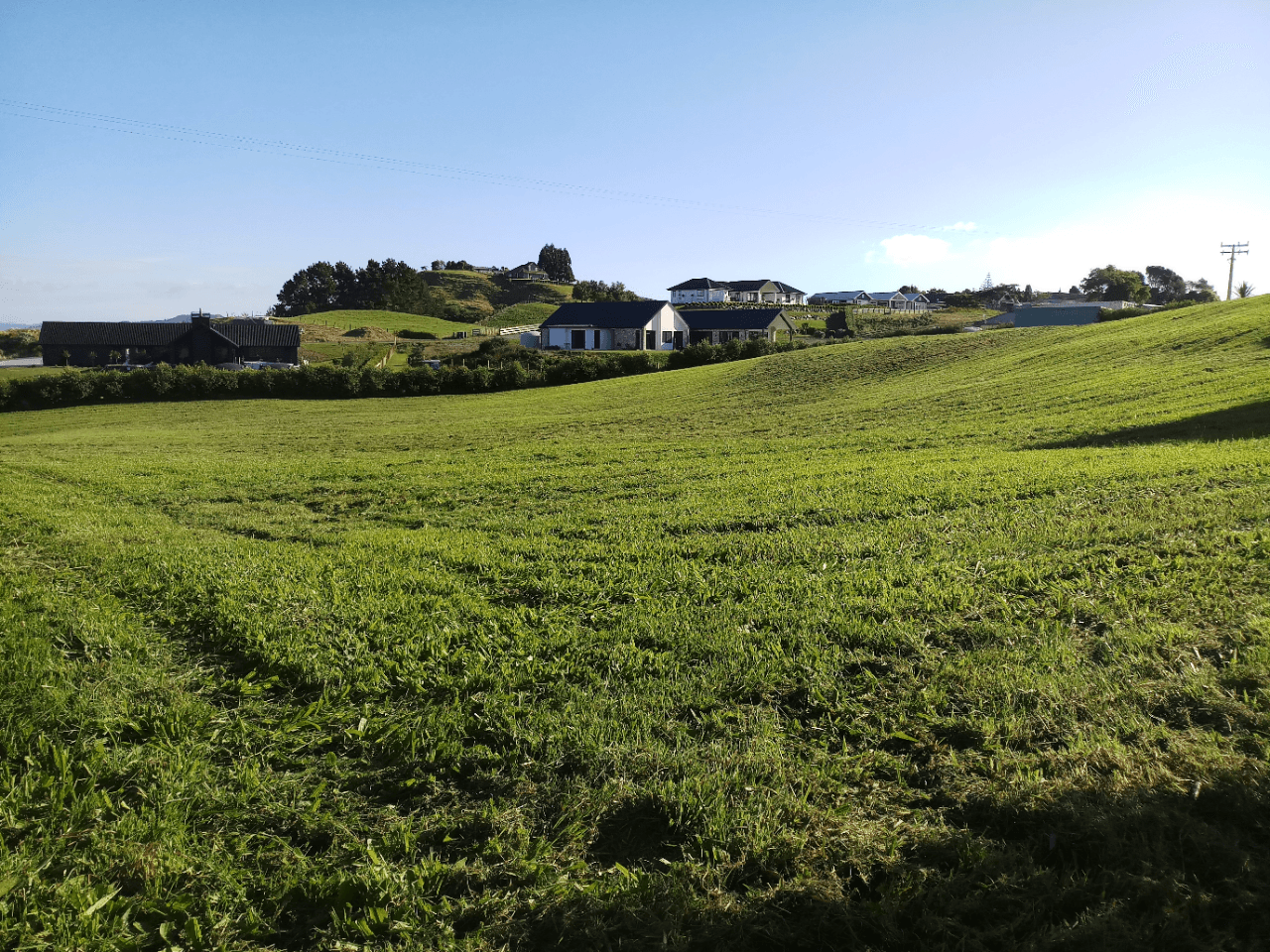 Totally Cut — Gardening Services in Tauranga