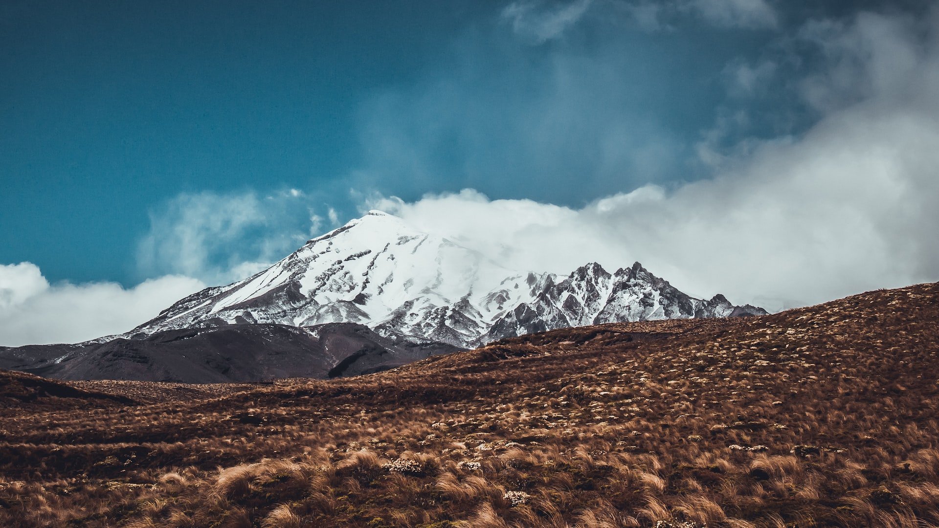 The Hobbit Motorlodge — Accommodation in Ohakune