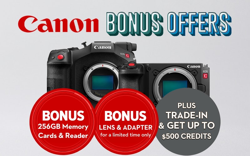 Photogear Ponsonby — Photographers in Auckland
