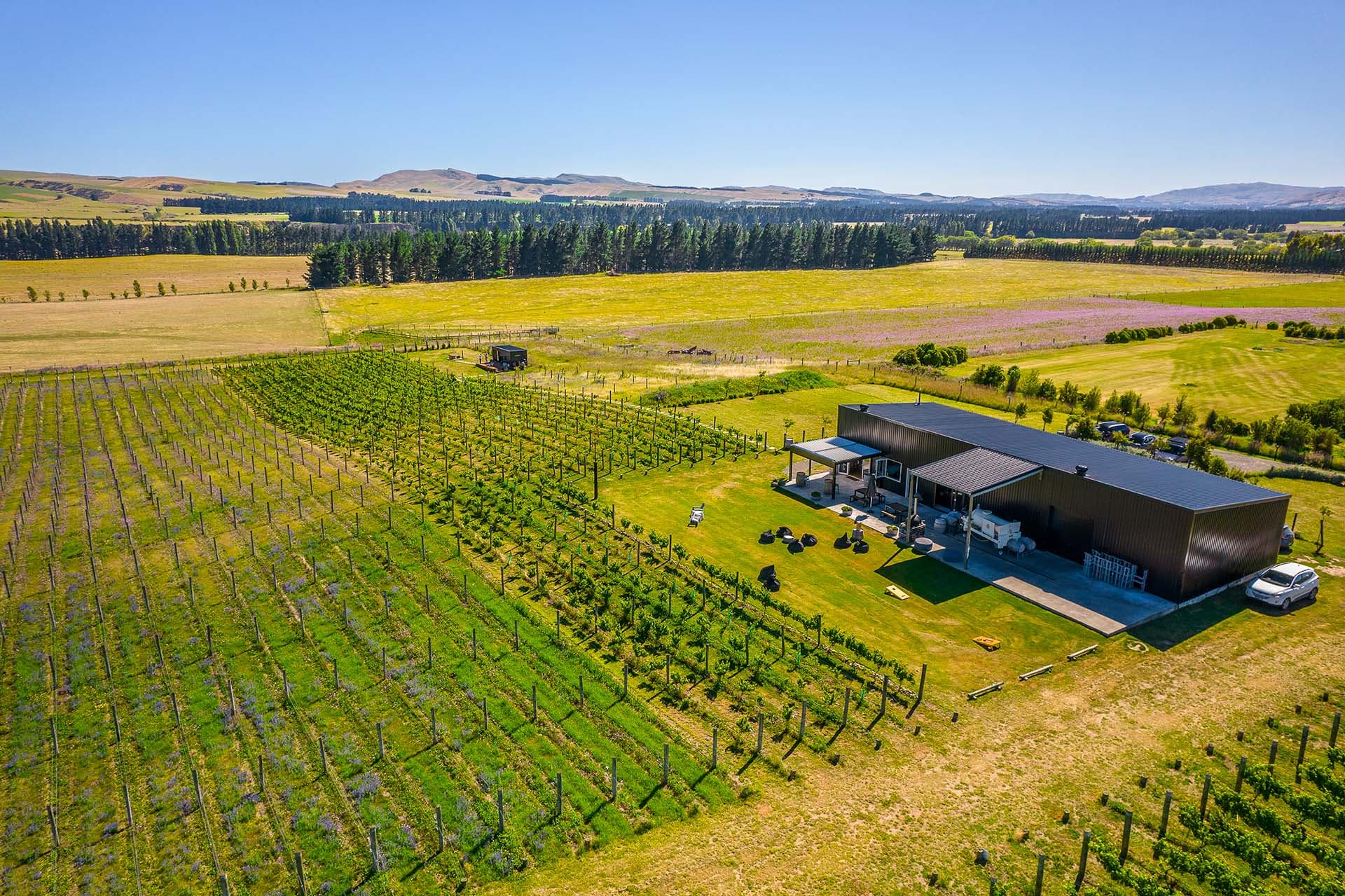 Georges Road Wines — Bars in Waipara