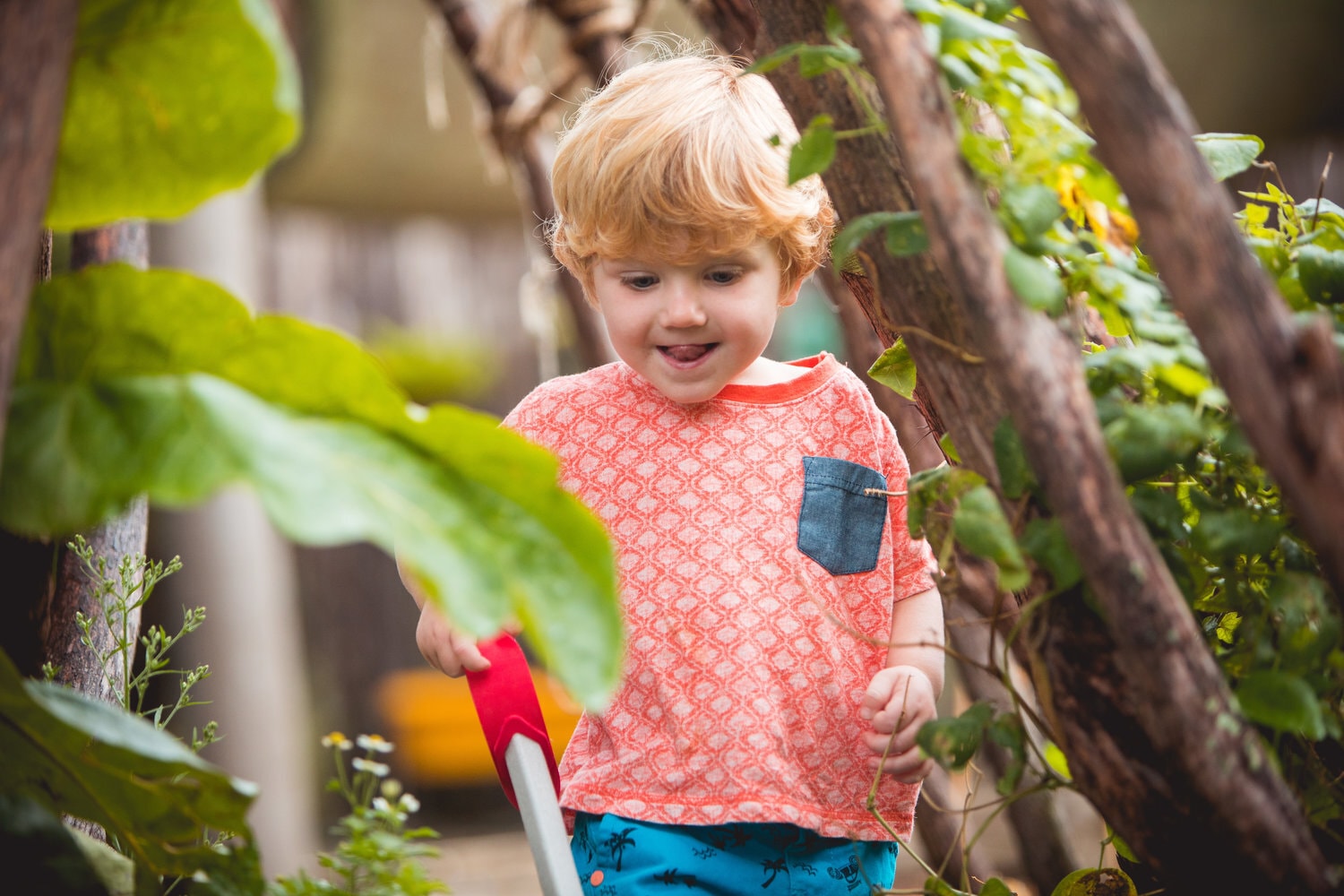 Daystar Childcare — Childcare Centres in Albert-Eden