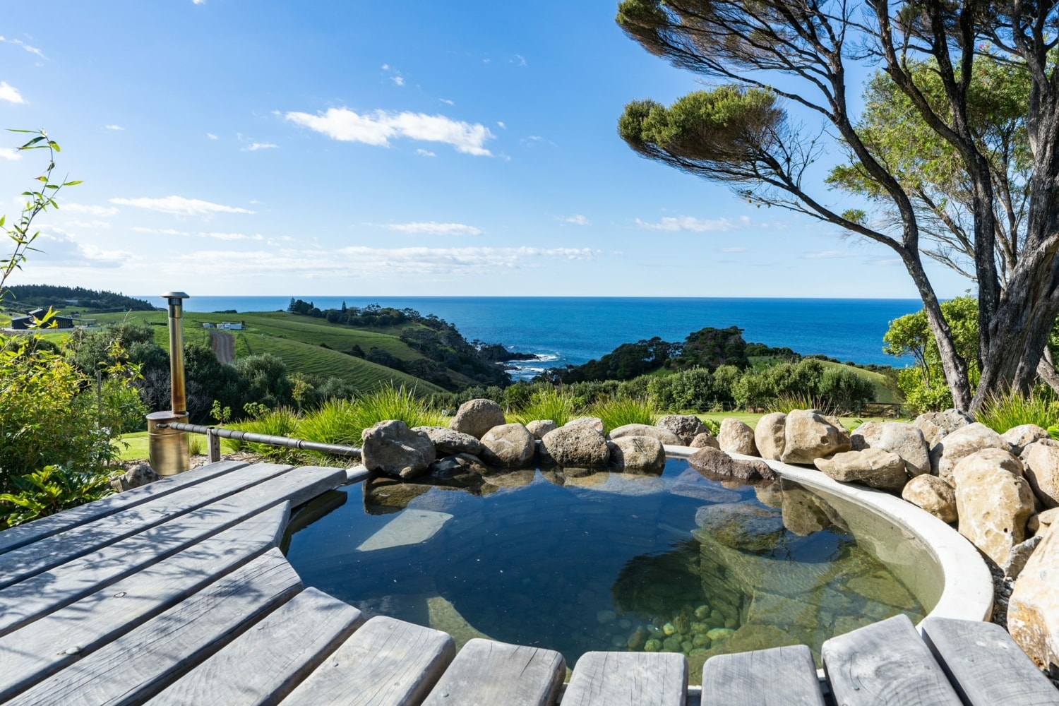 Blue Nikau — Landscaping Services in Whangārei