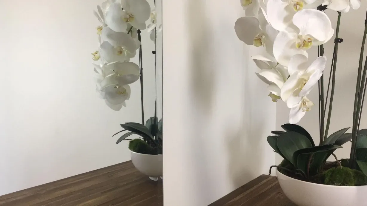 Bliss Beauty Retreat — Beauty Salons in Hāwera