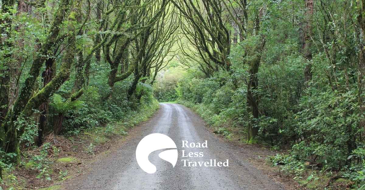 Road Less Travelled — Accommodation in Dunedin
