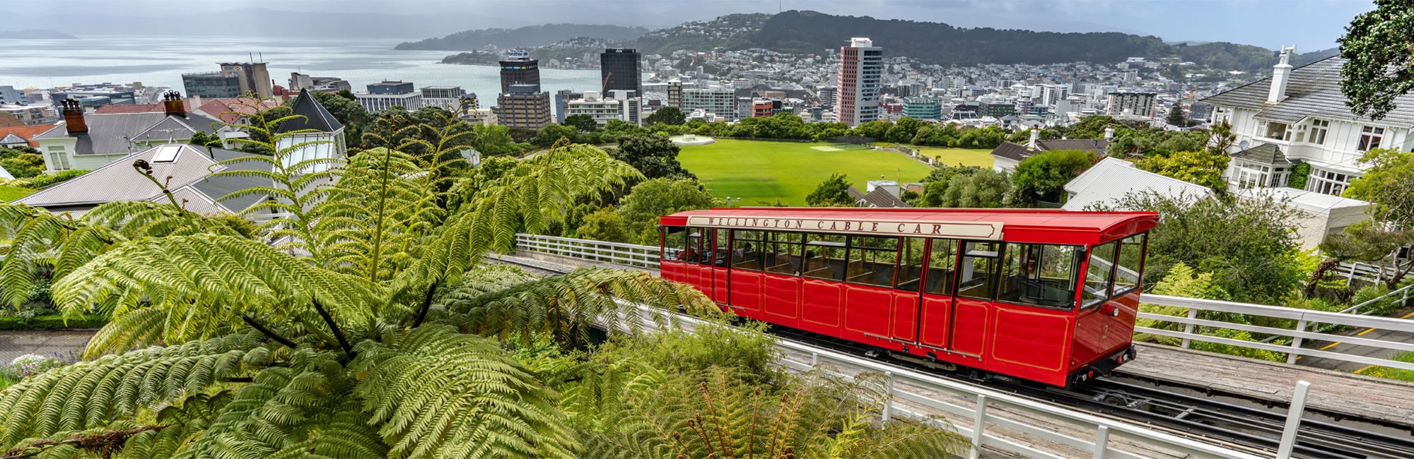 Wellington Insurance Brokers — Financial Services in Wellington