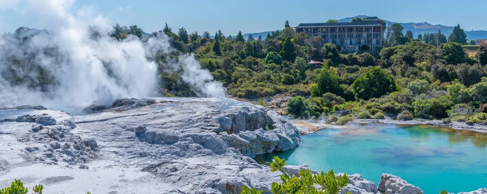 CBRE Rotorua — Real Estate Agents in Rotorua