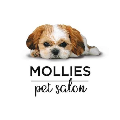 Mollies Pet Salon