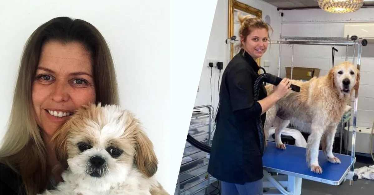 Mollies Pet Salon — Dog Groomers in Auckland