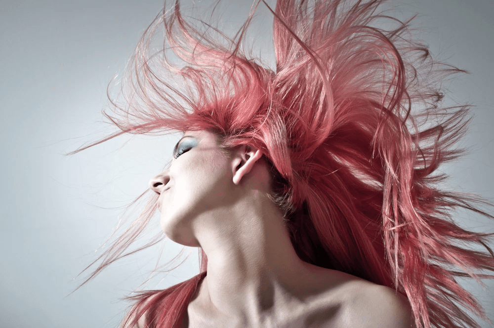 Best Hair — Business Services in Lower Hutt
