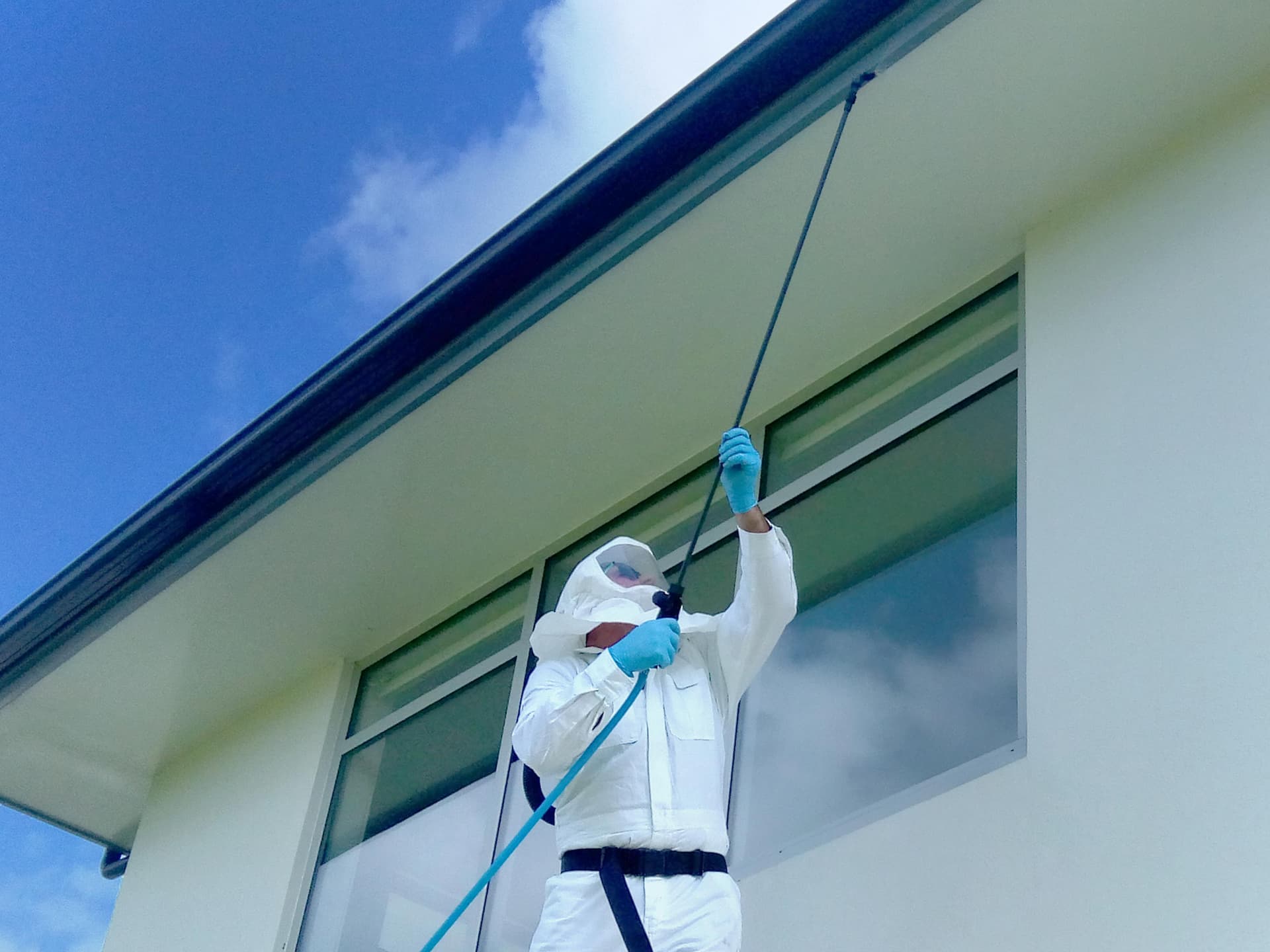 ZeroPests — Pest Control Services in Rolleston