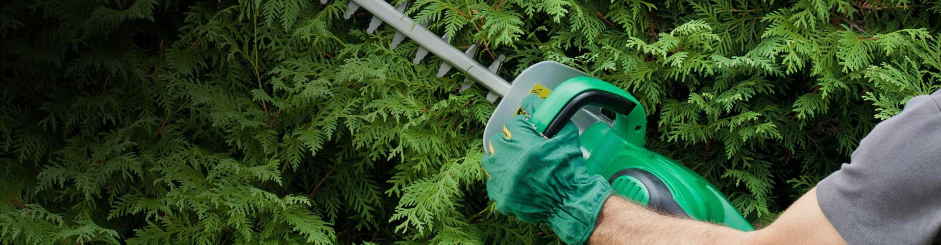 Inside Out Services Taupo — Residential Cleaning Services in Taupō