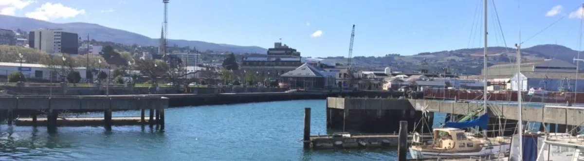 Timmings Partners Limited — Accountants in Dunedin
