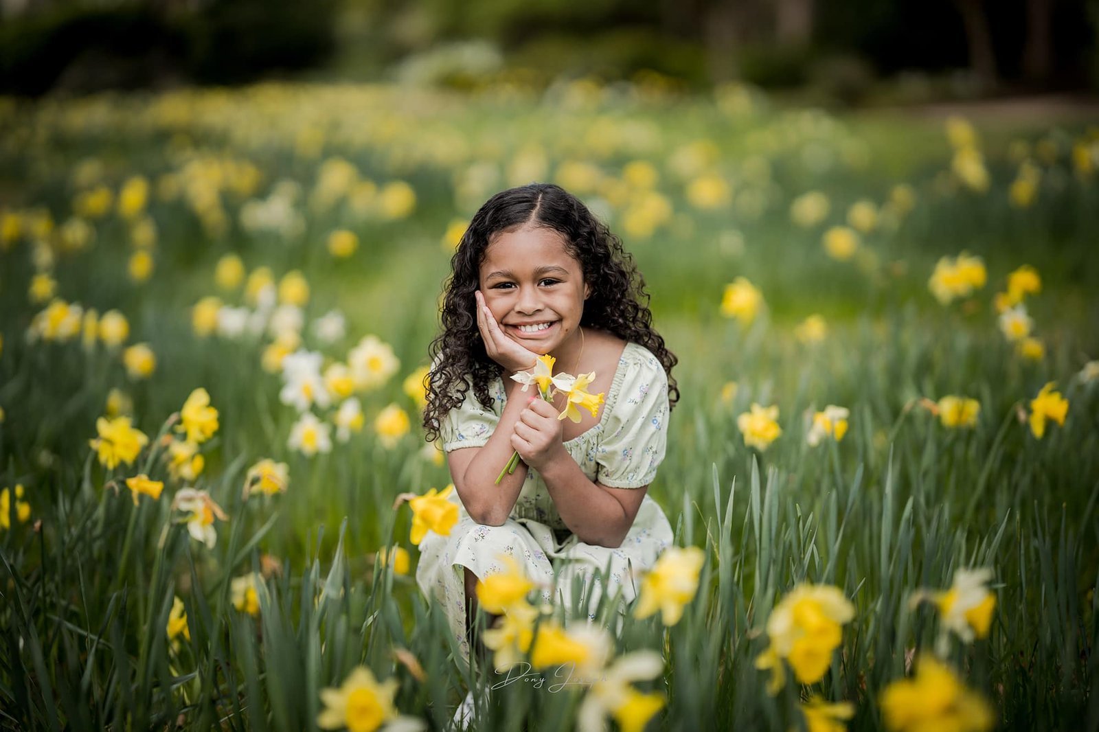 Dony Joseph Photography — Photographers in Dunedin