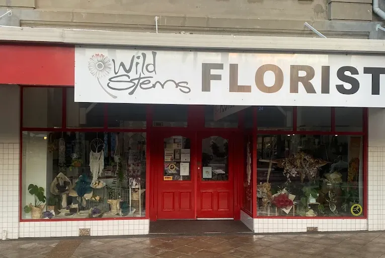 Wild Stems Florist — Florists in Gisborne