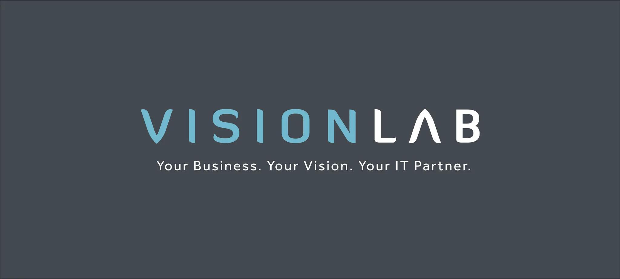 VisionLab — IT Services in Te Puke