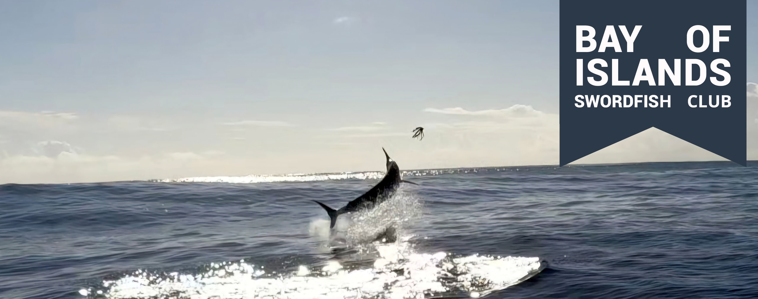 Swordfish Bar & Bistro — Restaurants in Paihia