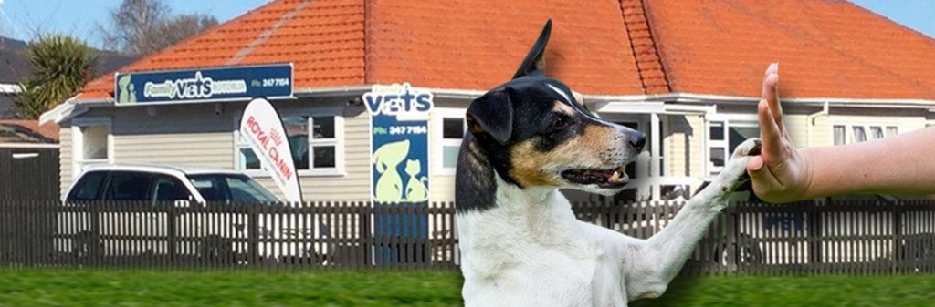 Family Vets Rotorua — Vets in Rotorua