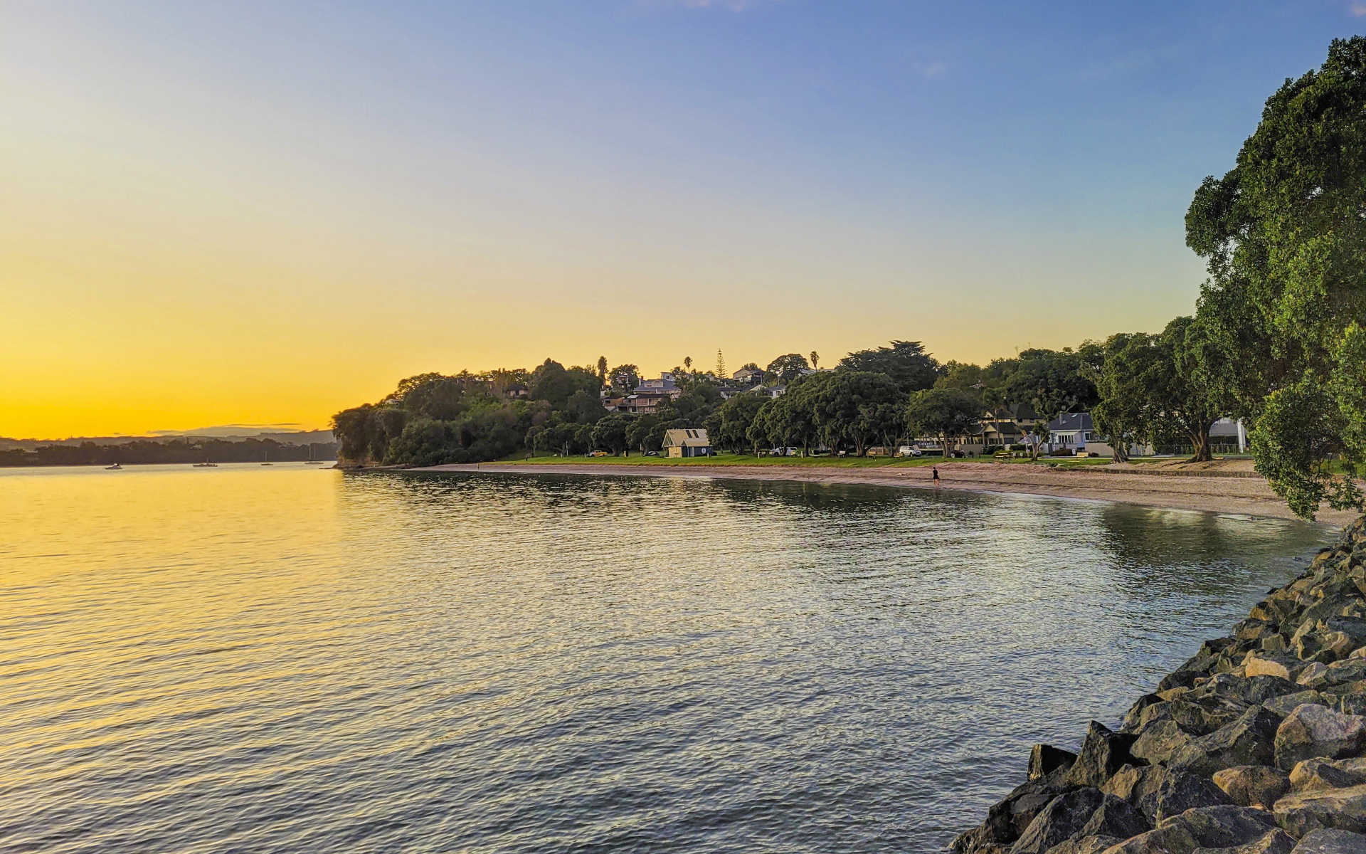 Tony de Leeuw Bayleys Real Estate — Real Estate Agents in Auckland