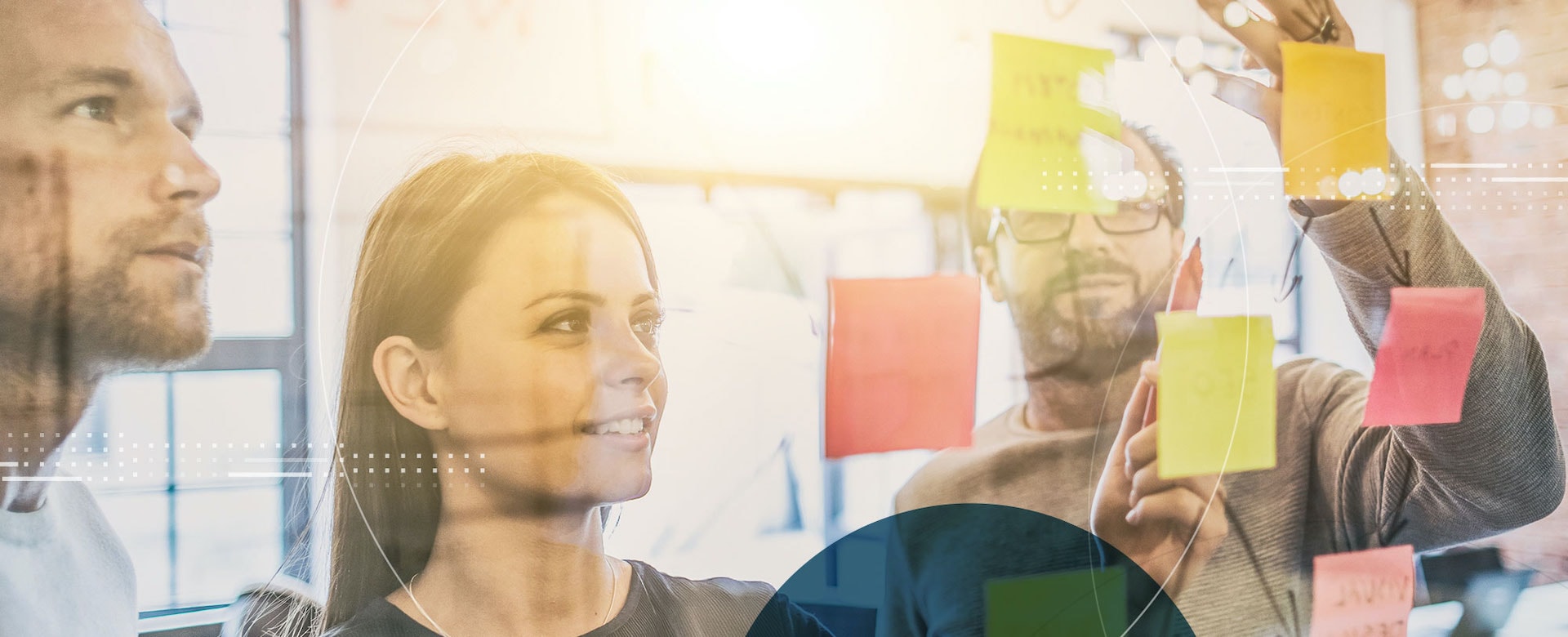 Organisational Development on-Demand. — Education & Training in Auckland