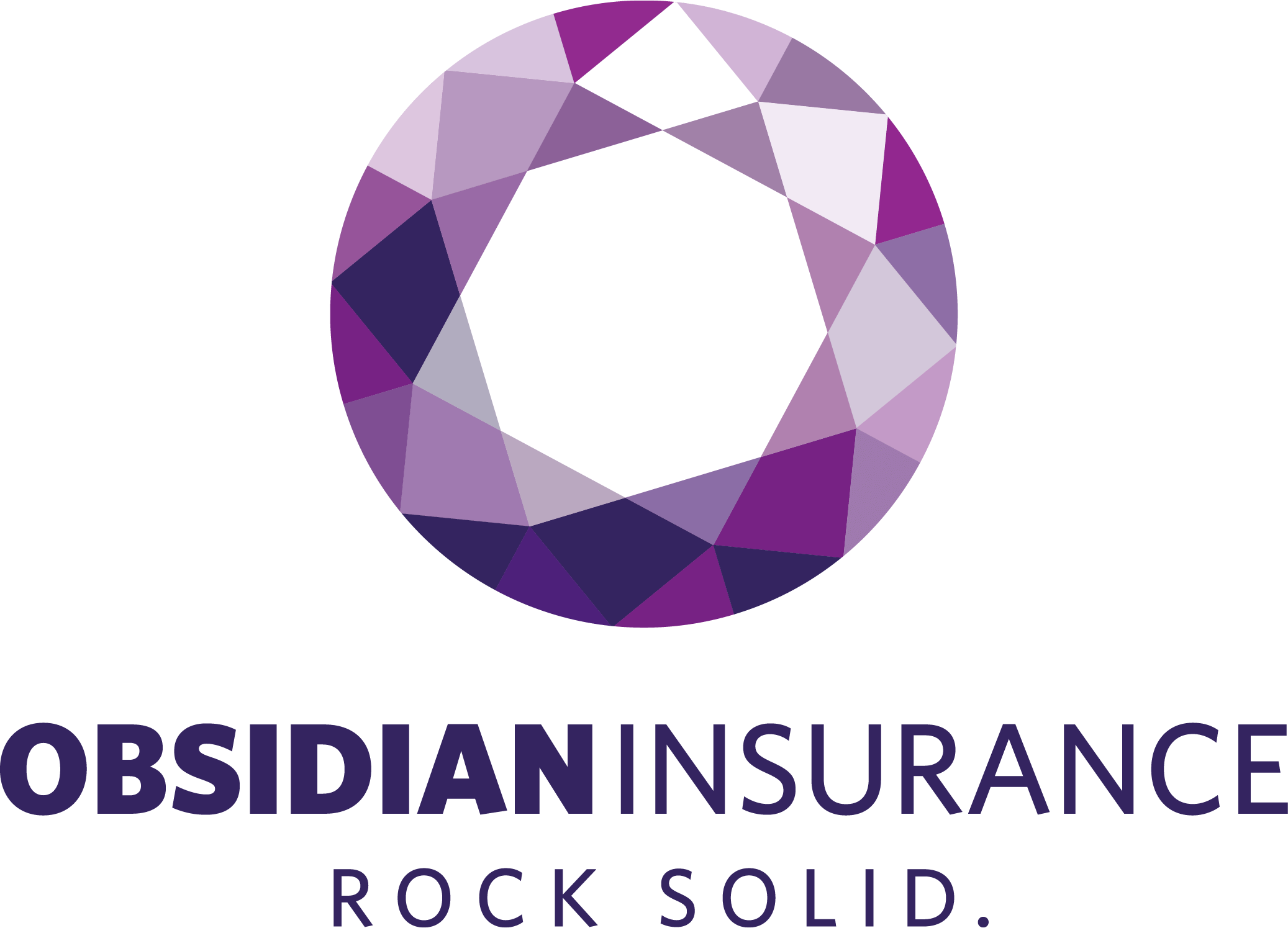 Obsidian Insurance — Financial Services in Te Puna