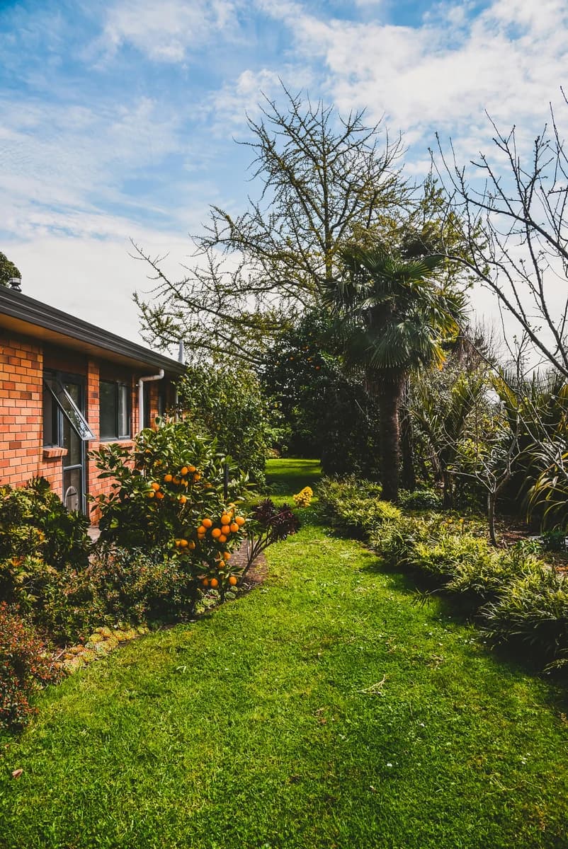 Ace Lawns — Gardening Services in Wellington