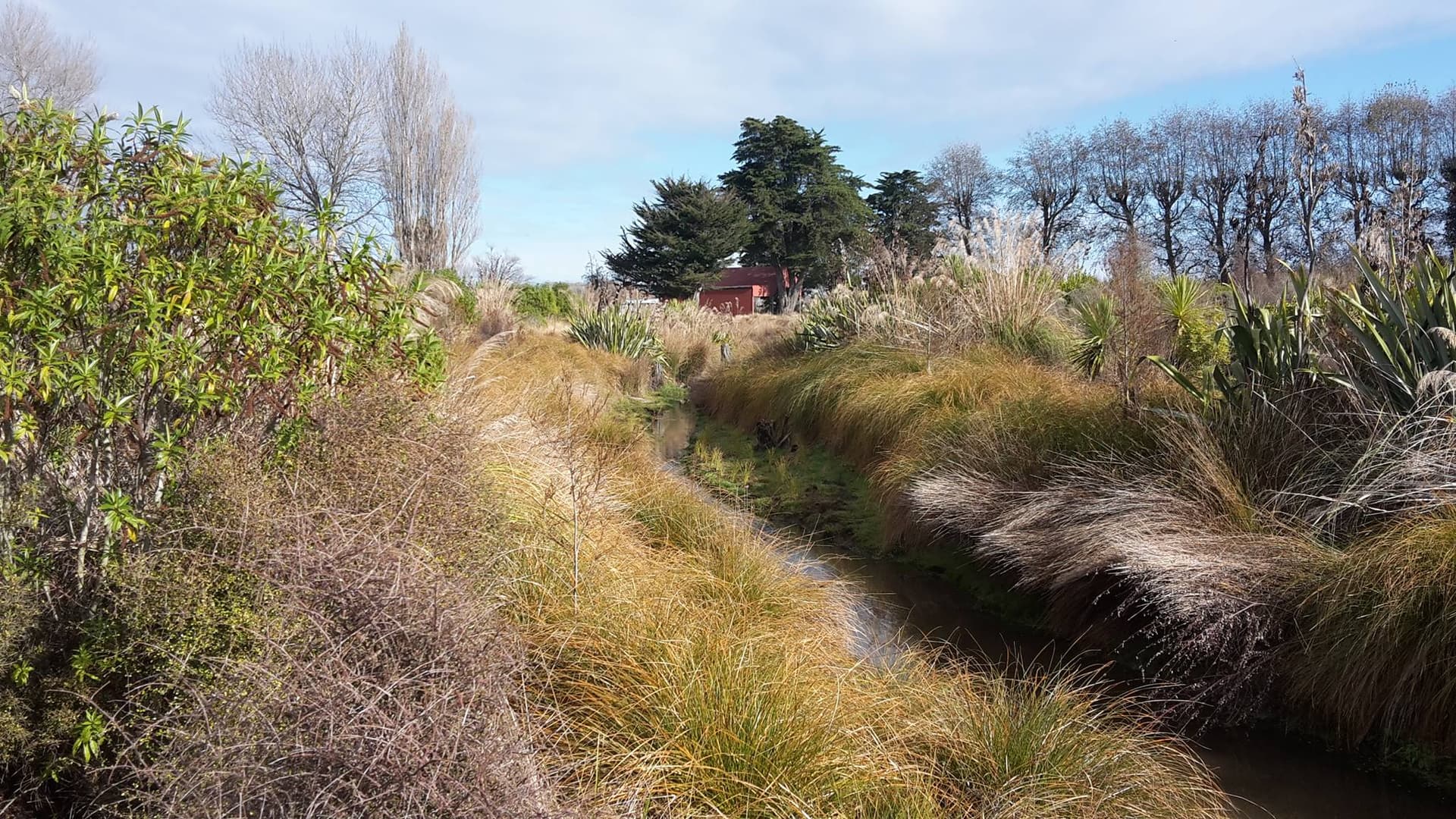 Landscape Ecology NZ Limited — Business Consultants in Christchurch
