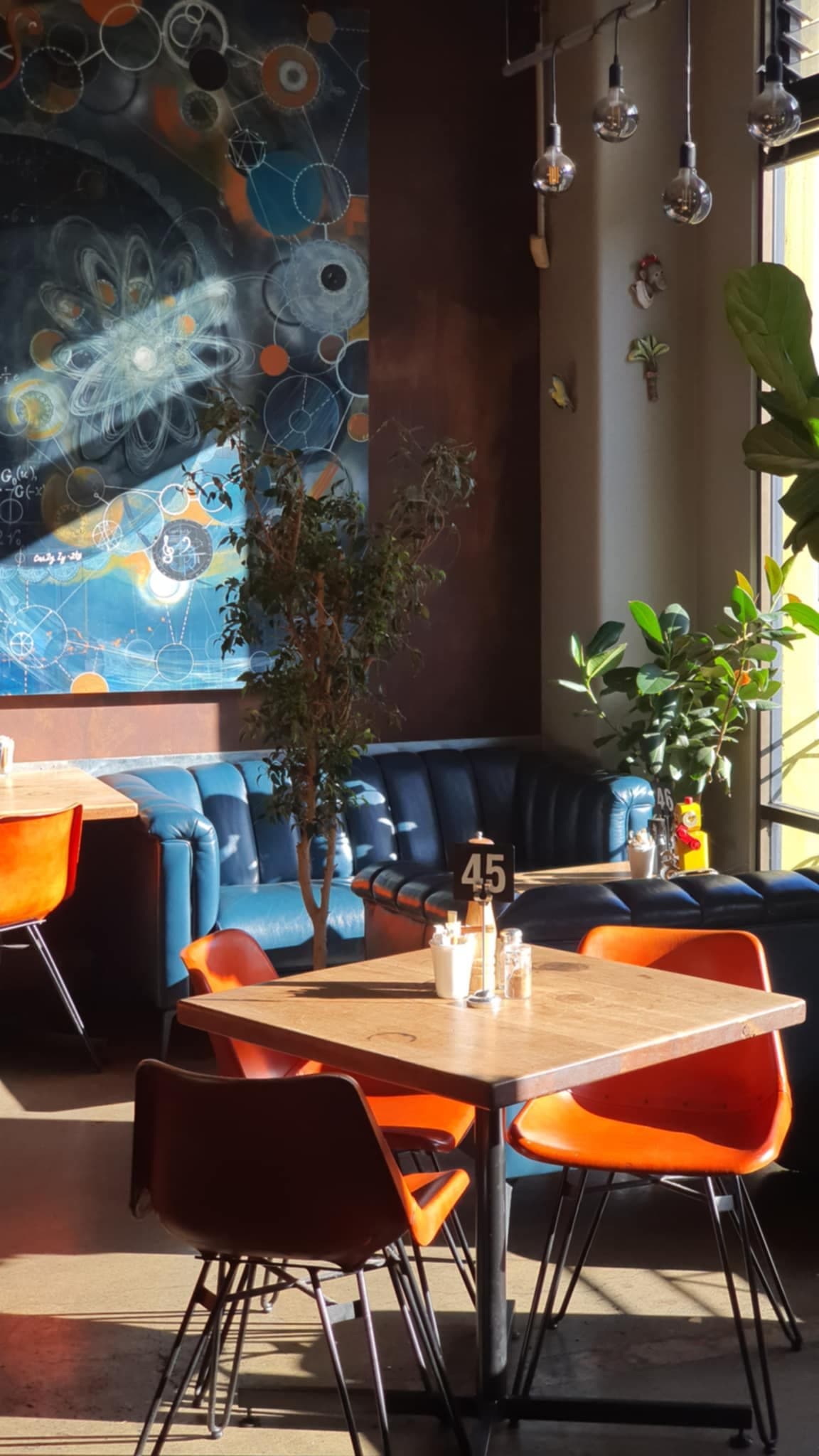 Chaos Cafe — Café in New Plymouth