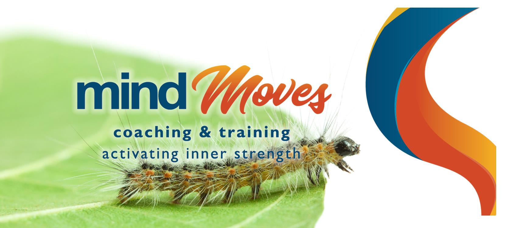 mindMoves.nz — Education & Training in Whangārei