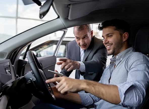 Red Stag Trading Limited — Car Dealerships in Blenheim