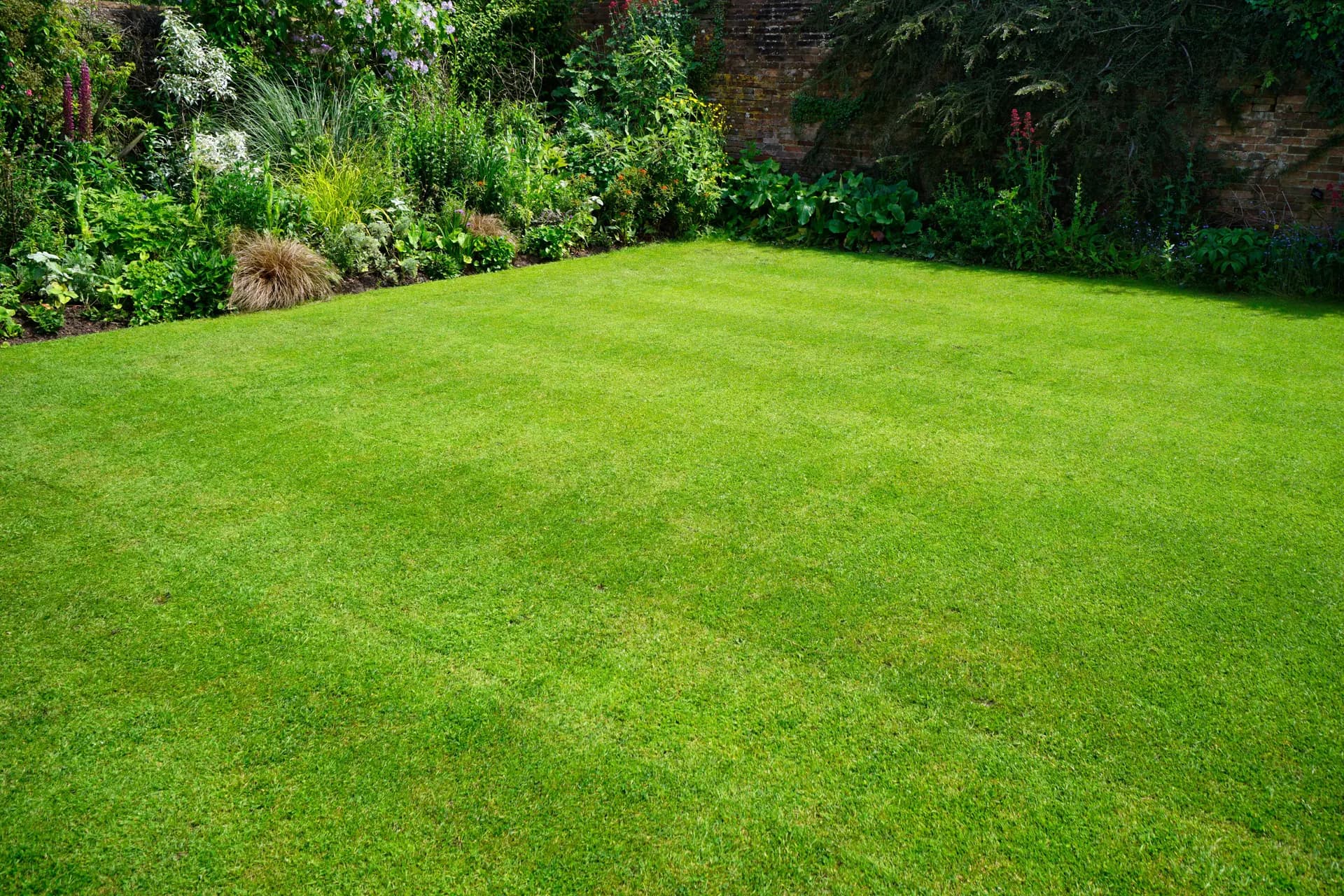 Grow and Mow — Gardening Services in Nelson