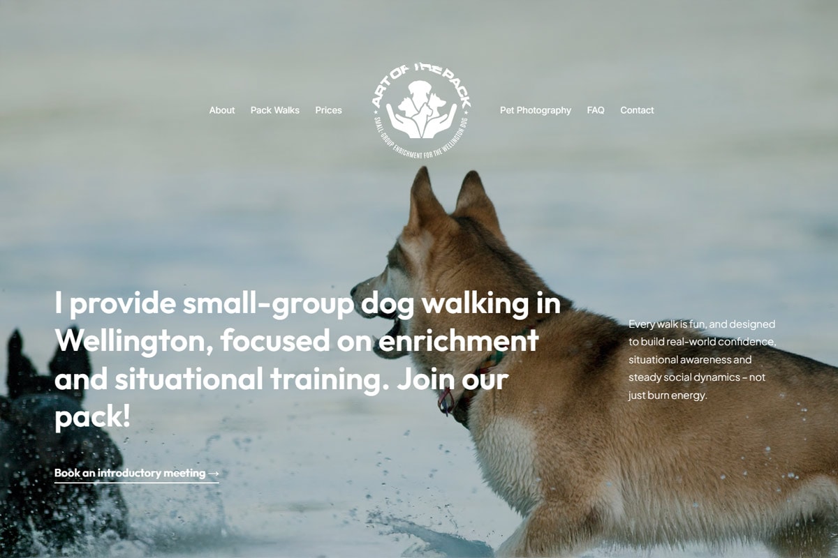 Art of The Pack — Pet Care Services in Wellington