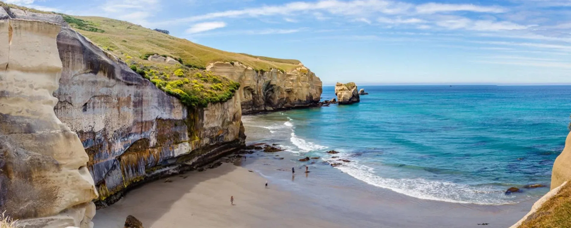 Hamilton Nicholson Ltd — Accountants in Dunedin