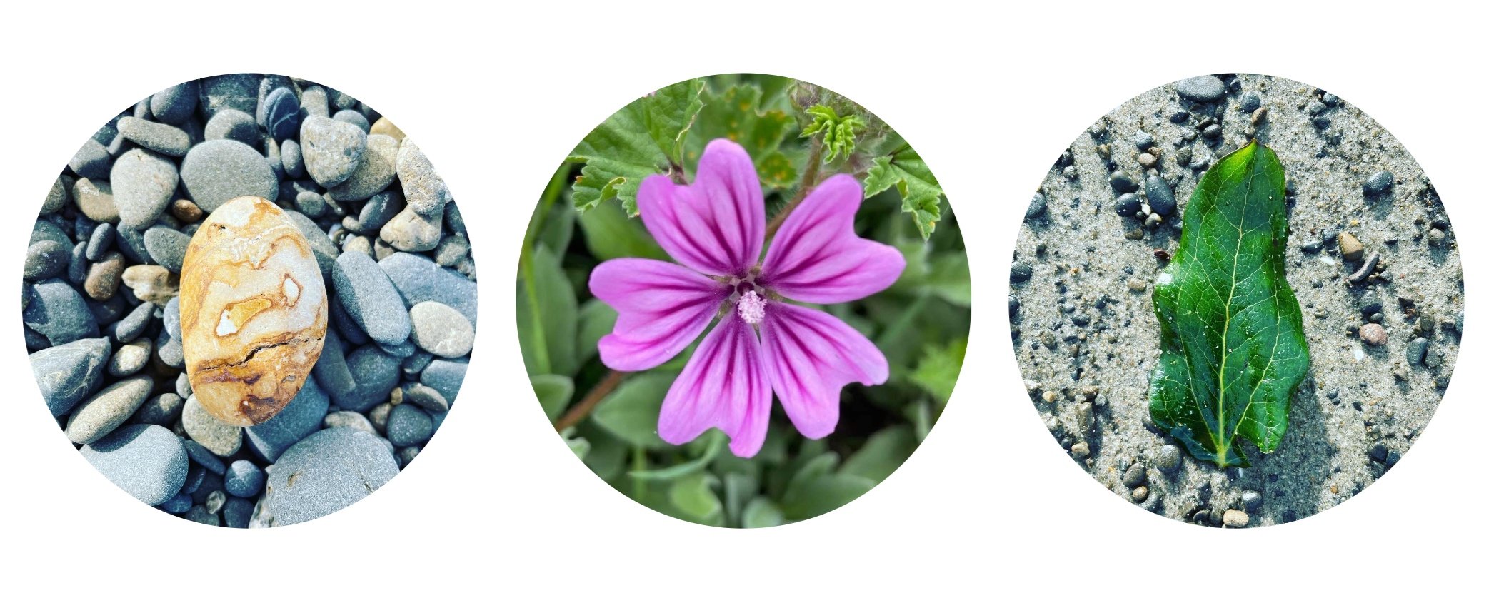 Restoring Balance — Counselling Services in Christchurch