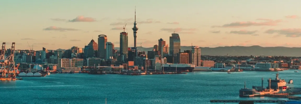 Licence To Wire — Electricians in Auckland