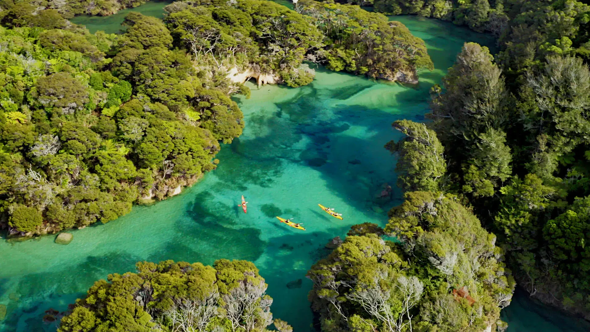 Kahu Kayaks — Travel & Tourism in Marahau