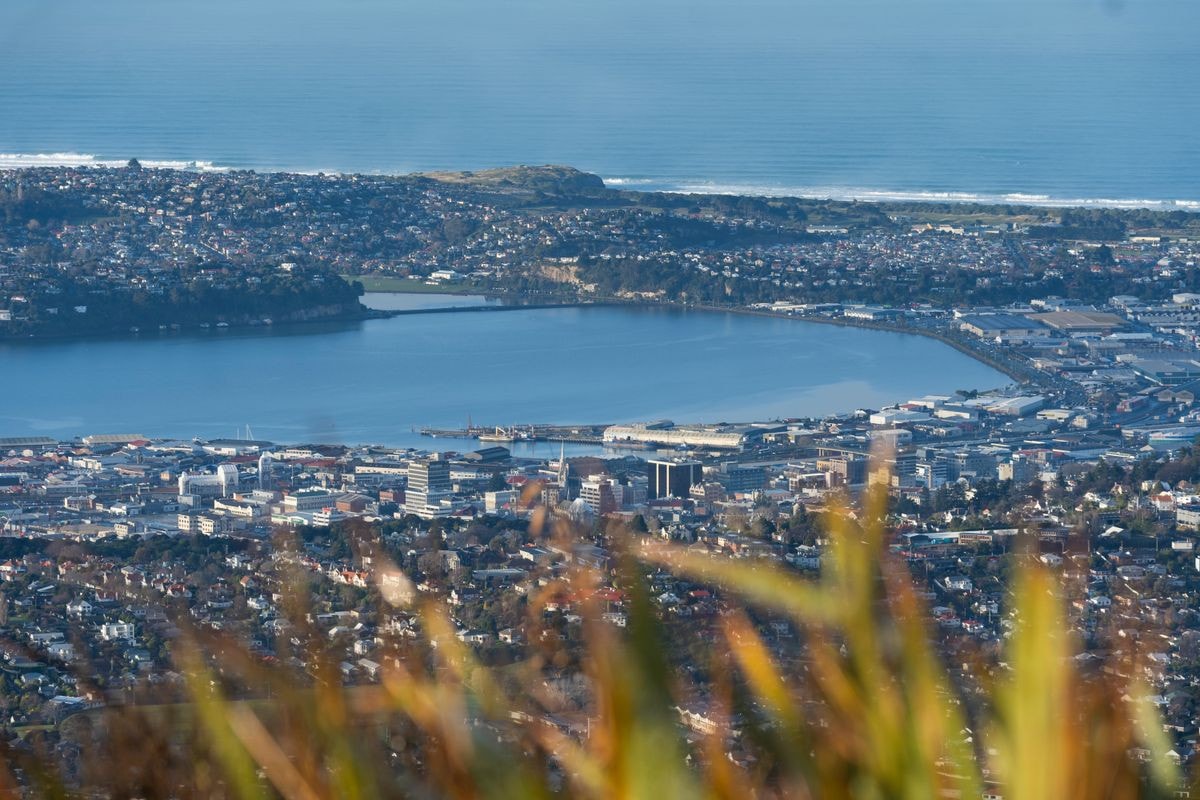 Callisto Property Management — Property Managers in Dunedin