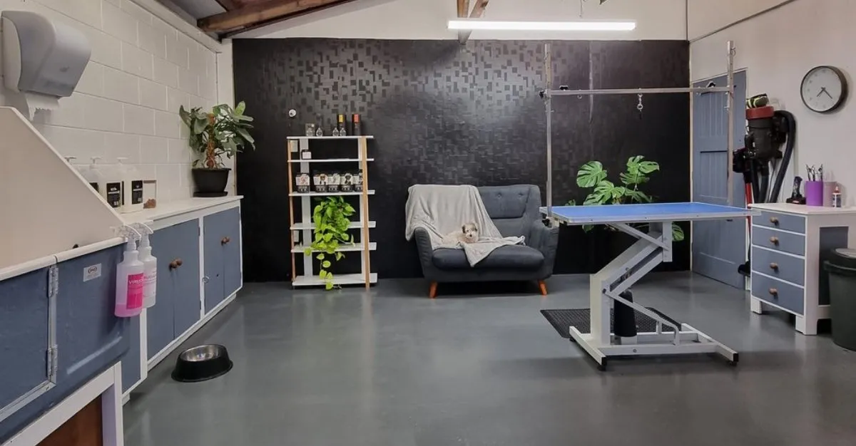 Alex's Fur Real Dog Grooming — Dog Groomers in Hamilton