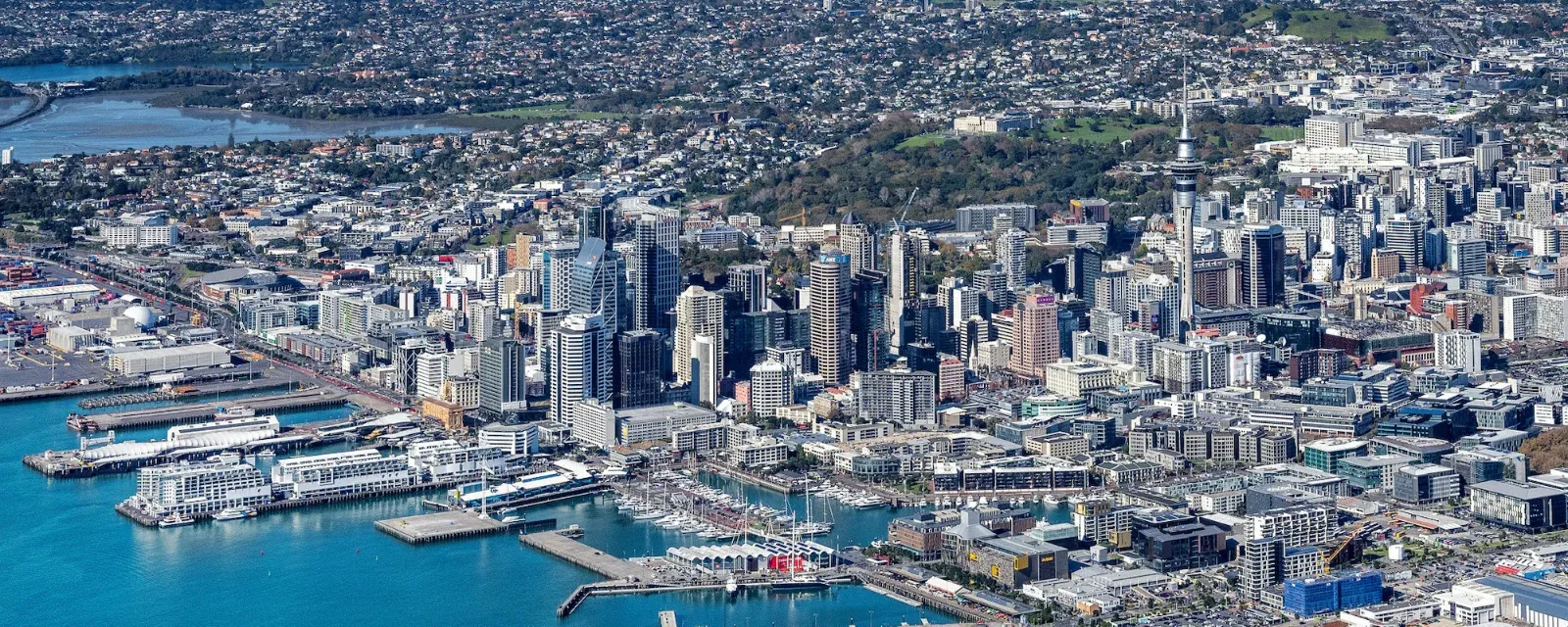 CBRE Auckland — Real Estate Agents in Auckland