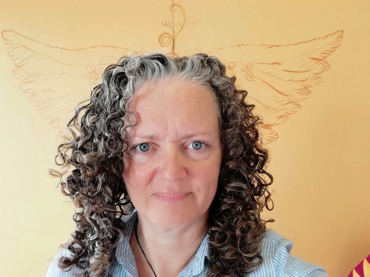 Trisha Wren, Equine Energetics — Pet Stores in New Zealand