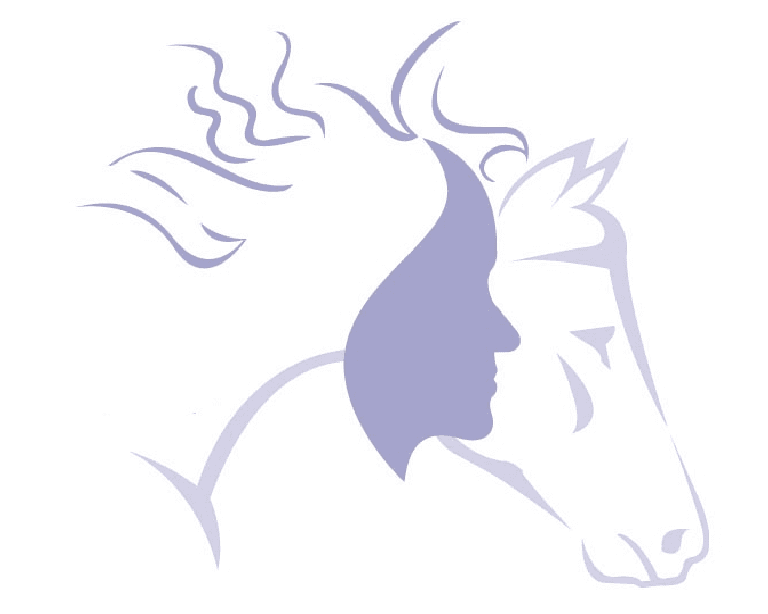 Trisha Wren, Equine Energetics
