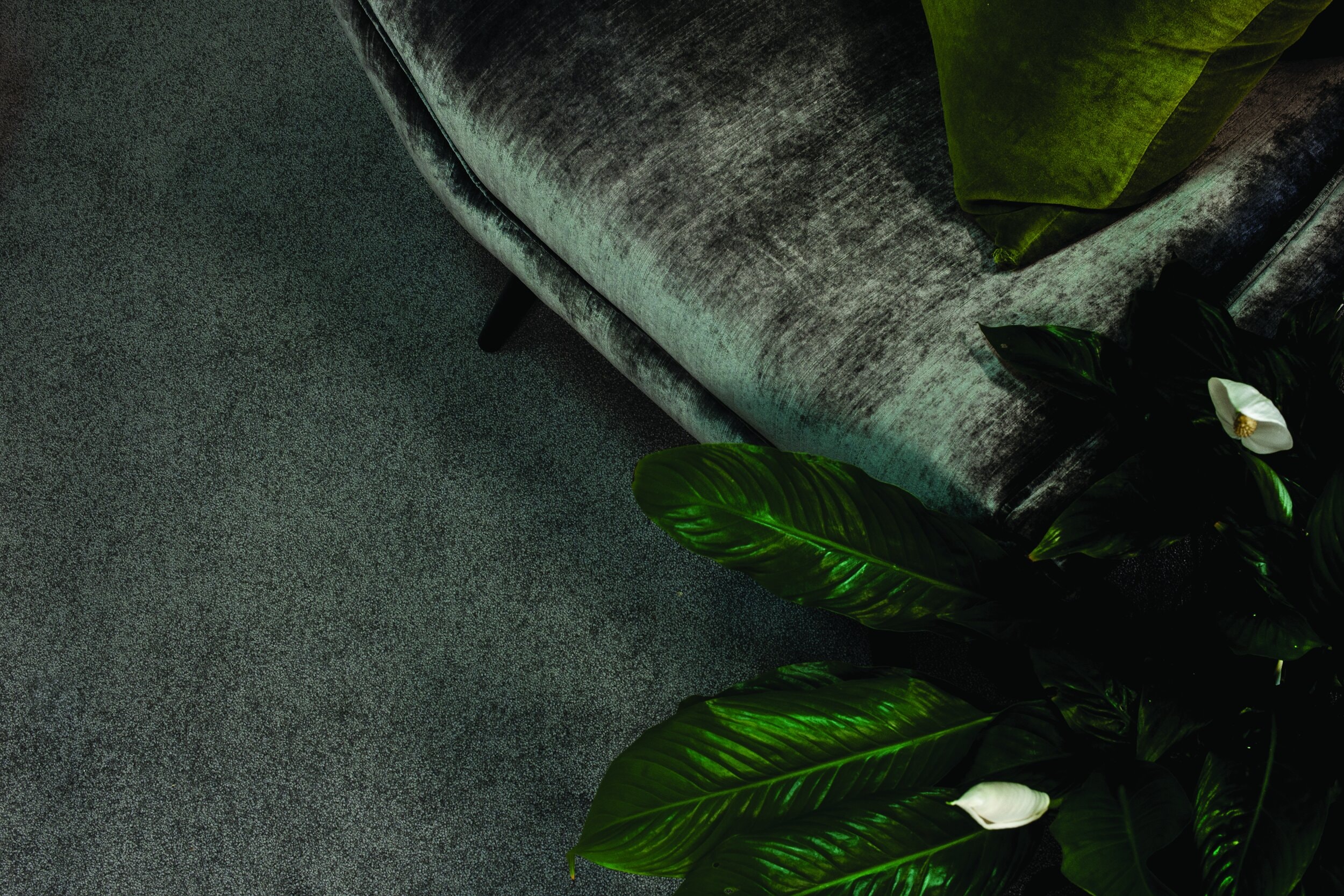 Carpets Wholesale & Retail — Flooring Stores in New Plymouth