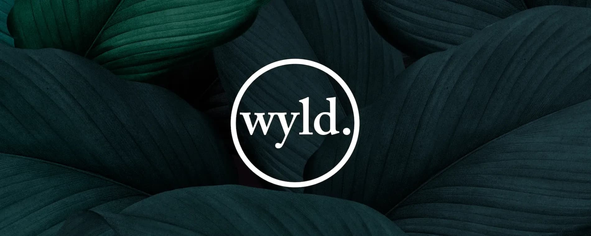 WYLD Chiropractic — Chiropractors in Ponsonby