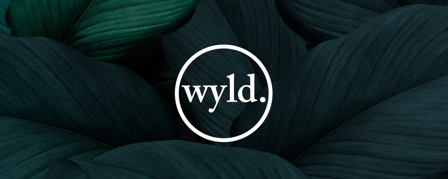 WYLD Chiropractic — Chiropractors in Ponsonby