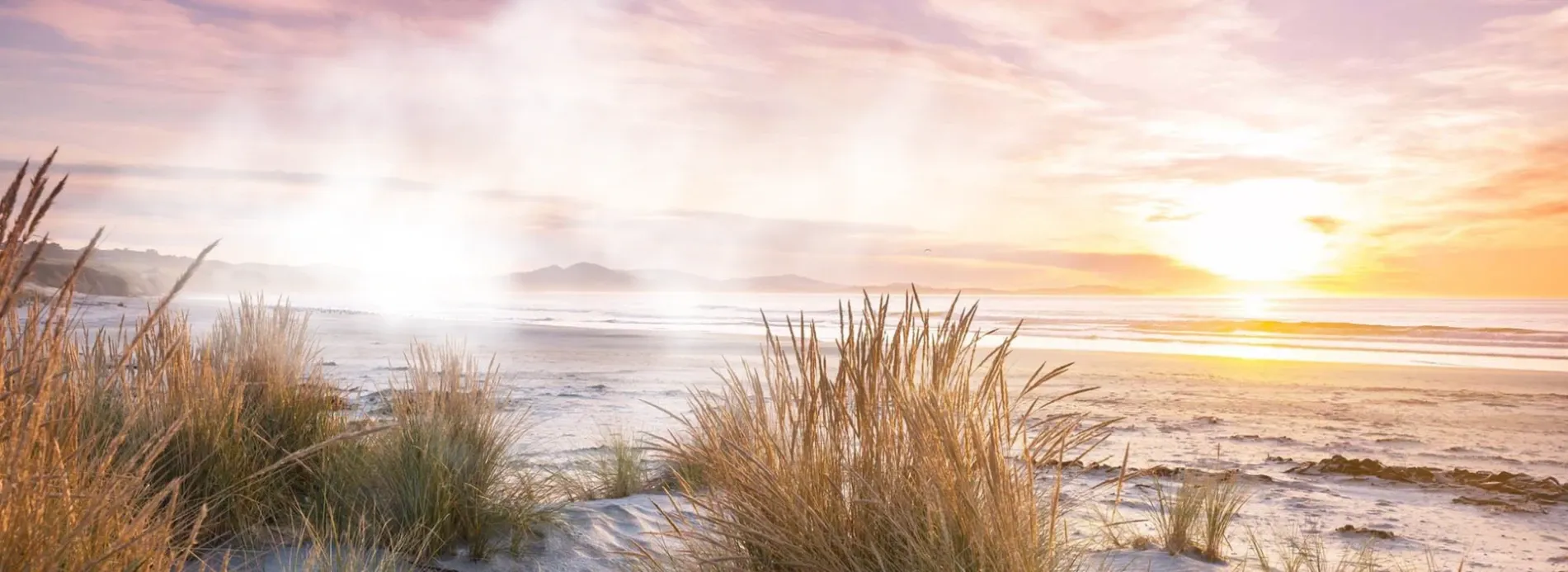 Cohesion Online Ltd — Website Designers in Tauranga